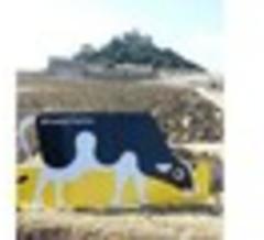 Tweeting cow Trewdy has big Facebook following too